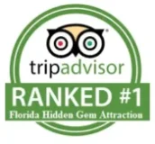 TripAdvisor Hidden gem in Florida