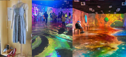 Before and After Cruise
