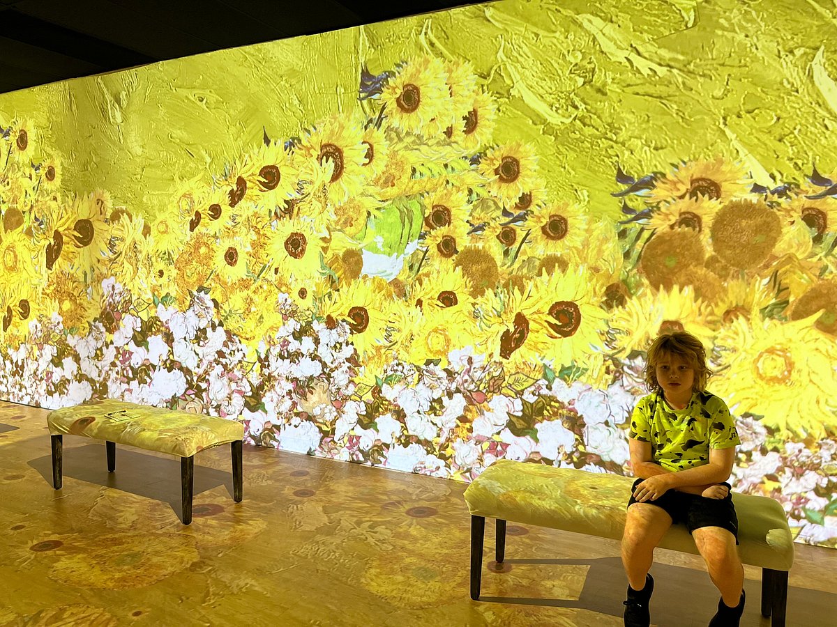 Immersive projections
