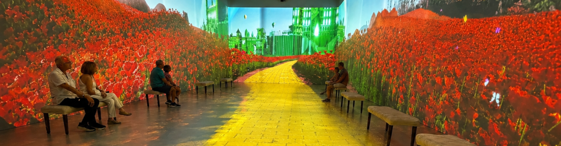Immersive Wizard of Oz